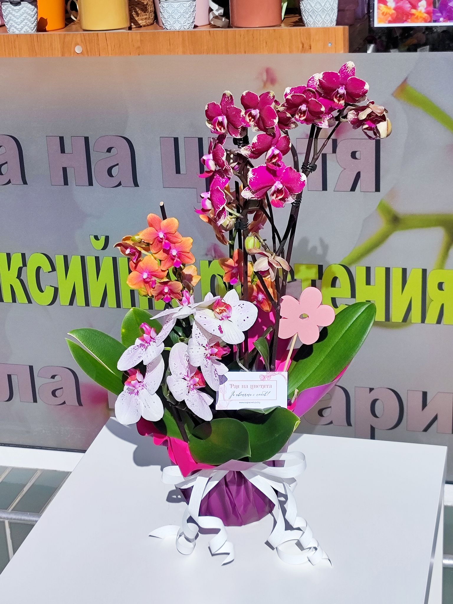 aranjirovka-1