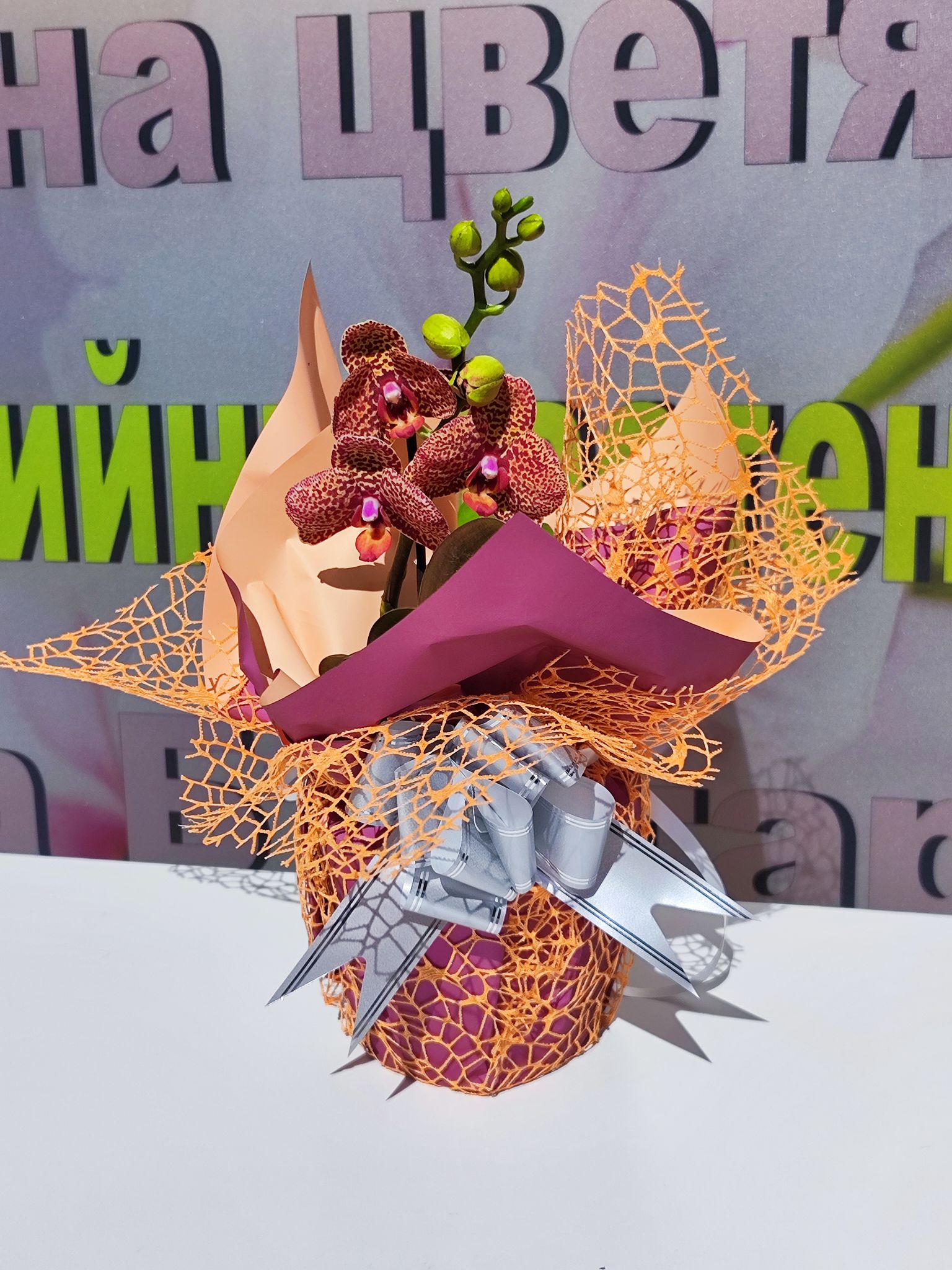 aranjirovka-2